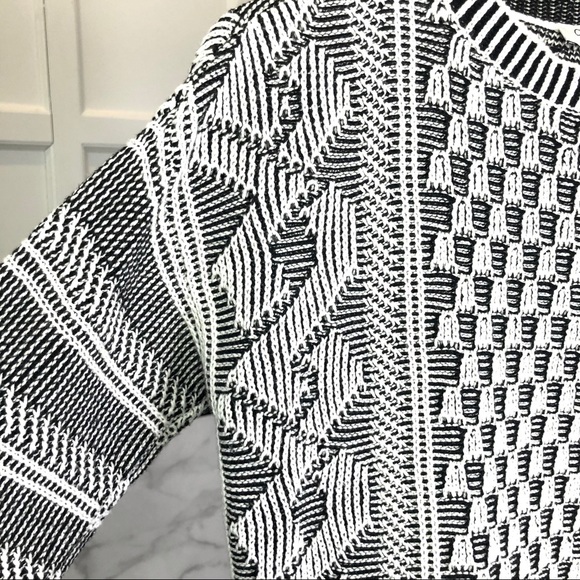 NWT CHAUS New York Topiary Garden Fringe Knit Sweater Size S - Picture 5 of 9